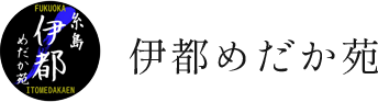 品種改良種を多く扱うめだかの販売・卸専門店 福岡県糸島の伊都めだか苑